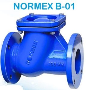 Normex Ball type check valve Flange End B-01