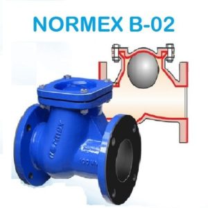 Normex Rubber lined Ball type check valve Flange End