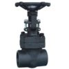 FORGED STEEL GLOBE VALVE